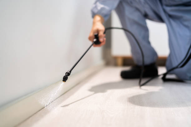 Rodent Entry Point Assessment in La Crescenta-Montrose