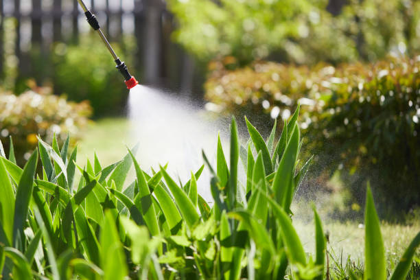 Tamper-Resistant Bait Stations for Rodents in La Crescenta-Montrose