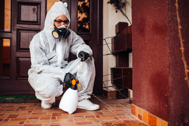 Attic and Crawl Space Rodent Treatment in La Crescenta-Montrose